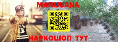 гидропоника Кулебаки